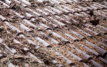 Achuvoldrach roof cleaning companies