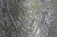 Achuvoldrach fibreglass roof work